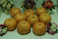 Fresh. fruits, freshpear, export by Hainong. co.,Ltd. http://www.hainong.com