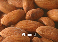 NUTS,Almond,import by Hainong. co.,Ltd. http://www.hainong.com