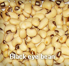 KIDNEY BEAN,BlackeyeBean,import by Hainong. co.,Ltd. http://www.hainong.com