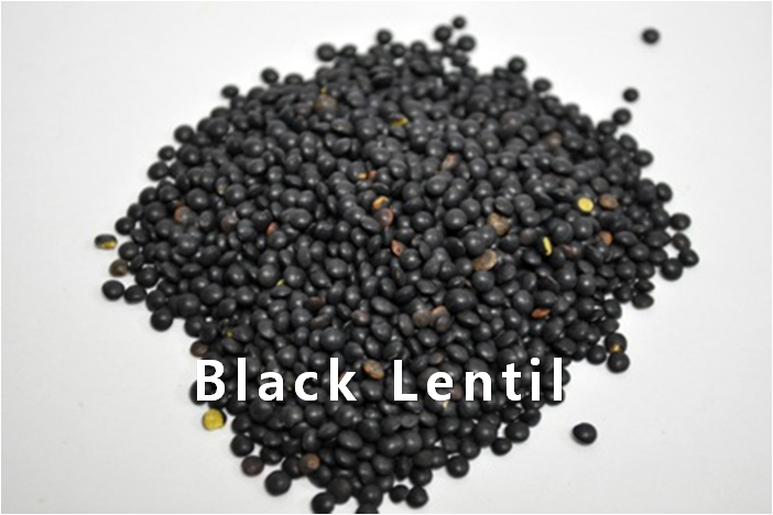 PEA,BlackLentil,import by Hainong. co.,Ltd. http://www.hainong.com