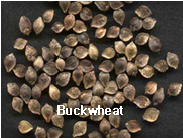 Grain,Buckwheat,Black millet,import by Hainong. co.,Ltd. http://www.hainong.com