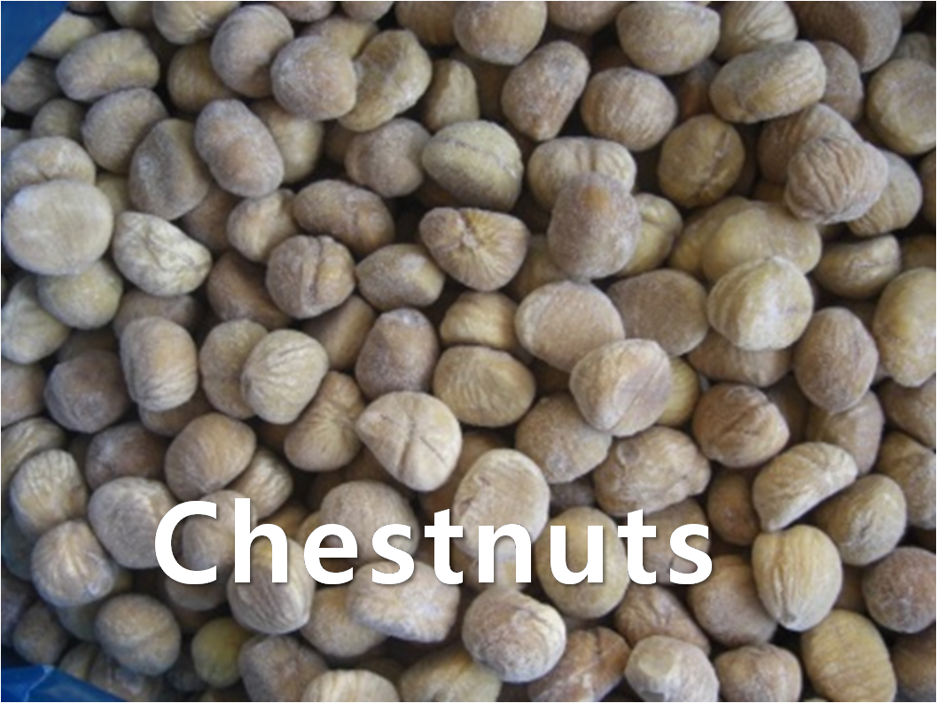 FROZEN,ChestNuts,import by Hainong. co.,Ltd. http://www.hainong.com