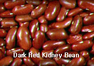 KIDNEY BEAN,DarkRedKidneyBean,import by Hainong. co.,Ltd. http://www.hainong.com