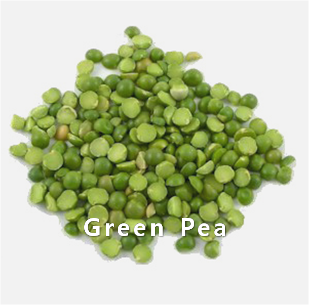 PEA,Greenpea,import by Hainong. co.,Ltd. http://www.hainong.com