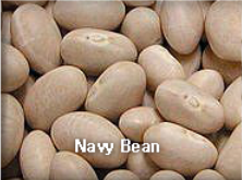 KIDNEY BEAN,NavyBean,import by Hainong. co.,Ltd. http://www.hainong.com