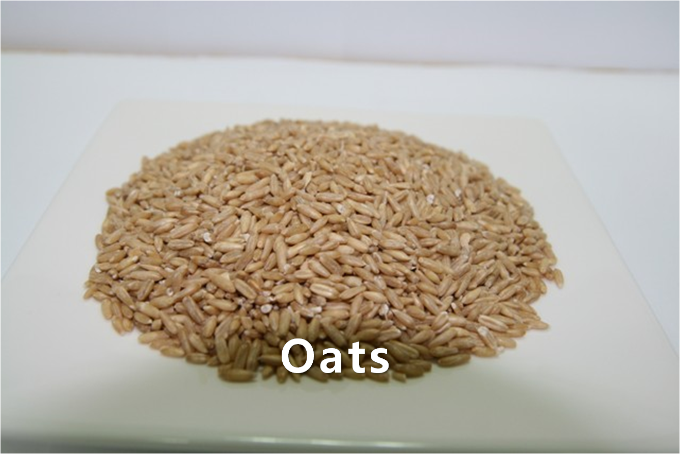 Grain,Oats,import by Hainong. co.,Ltd. http://www.hainong.com