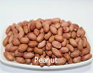 NUTS,PeaNut,import by Hainong. co.,Ltd. http://www.hainong.com