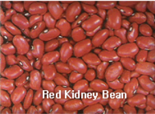 KIDNEY BEAN,RedKidneyBean,import by Hainong. co.,Ltd. http://www.hainong.com