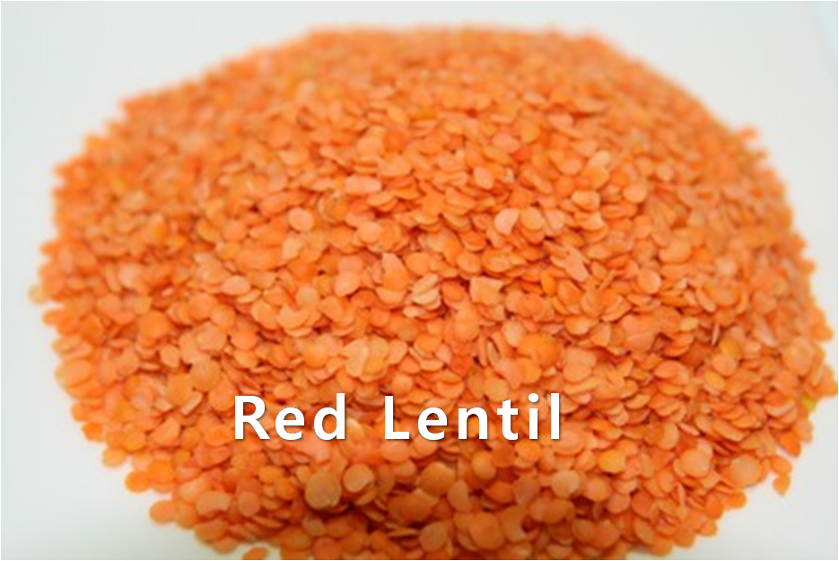 PEA,RedLentil,import by Hainong. co.,Ltd. http://www.hainong.com