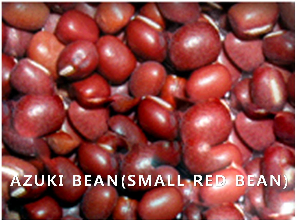 BEAN,SmallRedBean,import by Hainong. co.,Ltd. http://www.hainong.com