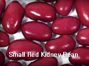 KIDNEY BEAN,SmallRedKidneyBean,import by Hainong. co.,Ltd. http://www.hainong.com