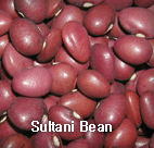 KIDNEY BEAN,SultaniBean,import by Hainong. co.,Ltd. http://www.hainong.com