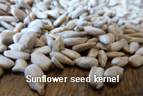 NUTS,SunflowerSeedKernel,import by Hainong. co.,Ltd. http://www.hainong.com