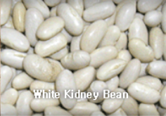 KIDNEY BEAN,WhiteKidneyBean,import by Hainong. co.,Ltd. http://www.hainong.com